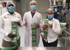 Thumbnail for Nigeria’s oil palm sector to benefit from Releaf, IITA partnership focused on boosting production