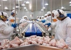 Thumbnail for Massmart eyes majority stake in delivery service provider OneCart to bolster eCommerce capabilities