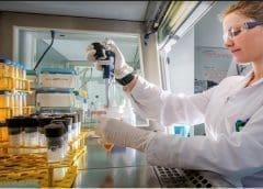 Thumbnail for Biscuit International to extend European leadership position with acquisition of Continental Bakeries