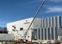 Thumbnail for Mars targets to rid supply chain of carbon emissions in new 2050 sustainability goal