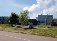 Thumbnail for Uganda attains 49.5% rise in value of coffee exports in September due to favourable global prices