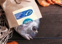 Thumbnail for Alternative protein startup Aleph expands presence in Asia through new partnerships with Thai Union, CJ CheilJedang