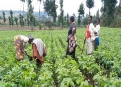 Thumbnail for Starbucks’ new CEO outlines fix it plans for the coffee chain