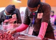 Thumbnail for MCS Coca-Cola bound for growth following capital injection from EBRD