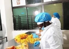 Thumbnail for Lessaffre establishes new baking center in Dubai to support bakery innovation in the Middle East