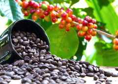 Thumbnail for Leading cocoa producer Ivory Coast targets all its cocoa will be traceable by next season