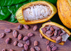 Thumbnail for Pernod Ricard sells Ireland craft beer business back to founders 