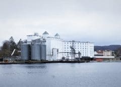 Thumbnail for DSM acquires Vestkorn Milling to accelerate growth in plant-based protein market