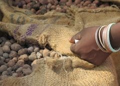 Thumbnail for Universal Robina expands international snack portfolio with acquisition of Munchy Food Industries