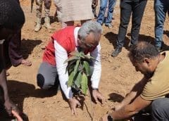 Thumbnail for WFP launches programme to support food businesses in South Sudan
