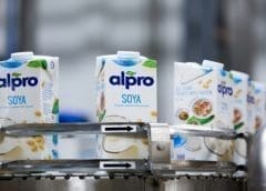 Thumbnail for Valency Agro Nigeria receives US$3.5m financing from Oikocredit to boost cashew nut processing