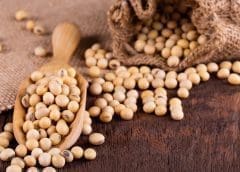 Thumbnail for Monster Beverage mulls teaming up with Constellation Brands to unlock new revenue opportunities