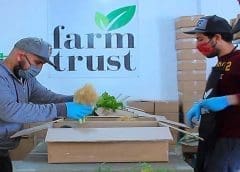 Thumbnail for South Africa lemon juice industry faces possible penalty for allegedly dumping product in USA