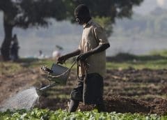 Thumbnail for Constellation Brands not giving up on Mexico, plots new US$1.3B new brewery