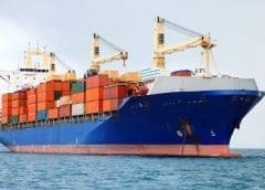 Thumbnail for AfDB kick starts establishment of Special Agro-Industrial Processing Zones in Nigeria with US$210m financing