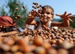 Thumbnail for AB InBev’s venture arm ZX Ventures backs SA alcohol free drinks company The Duchess