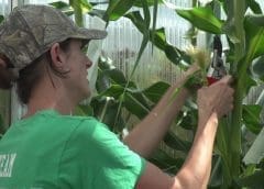 Thumbnail for Nestlé creates Greater Zambezi region headed by Asim Rifat newly appointed CEO of Zimbabwe unit