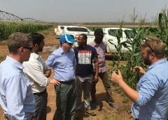 Thumbnail for Pork processer Pilgrims UK taps former Seara Foods leader as President