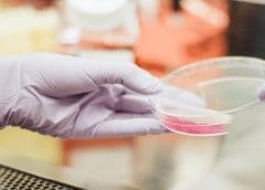 Thumbnail for Titanium dioxide ban takes effect in Europe leaving producers with six months to comply