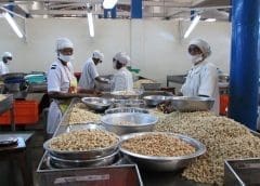 Thumbnail for Royal Unibrew acquires full ownership of Norwegian beverage company Hansa Borg Bryggerier