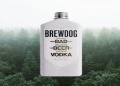 Thumbnail for WayCool eyes share of India’s lucrative potato supply chain with new investment in SV Agri