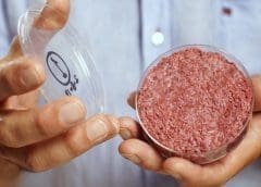 Thumbnail for Certuss’ new electric steam generator a game changer in the race to net zero 