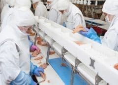 Thumbnail for Indian snack company Haldiram’s Nagpur partners SIG to launch dairy line