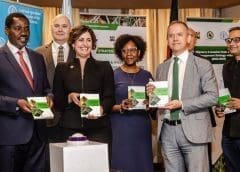 Thumbnail for South African small scale cane farmers receive US$14.6m boost from sugar association