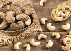 Thumbnail for Singaporean Robust to build agricultural commodities processing complex in Nigeria with IFC backing