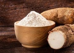Thumbnail for HRD Industries invests US$12 million in cashew nut shell processing plant in Benin