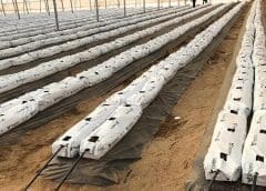 Thumbnail for Jumia fosters contactless delivery in Ghana through partnership with smart locker provider Locqar