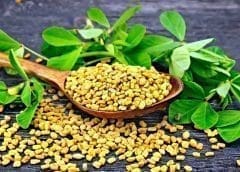 Thumbnail for Elopak partners Nippon Paper Industries to advance collaborative efforts in liquid-paper packaging 