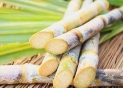 Thumbnail for Former Ghana President rallies support behind Ghana Coffee Incubator Program  