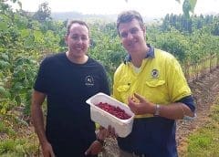 Thumbnail for Kirin plans Myanmar exit, sells China soft drinks joint venture for US$994m  