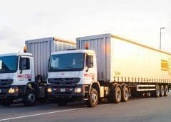 Thumbnail for Mango consumption can help manage key risk factors that contribute to chronic disease, study finds 