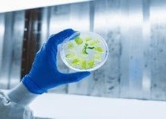 Thumbnail for Kenya searches for alternative wheat source to meet high demand on back of Russia-Ukraine conflict