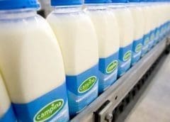 Thumbnail for Danone among few companies pledging to stay in Russia amid mass exits by foreign firms 