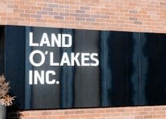 Thumbnail for AAK joins list of food companies suspending shipments to Russia  