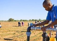 Thumbnail for ADM invests US$300m in alternative protein production to meet strong demand