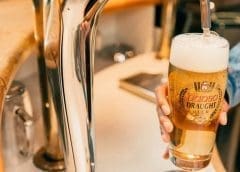 Thumbnail for USAID issues US$1.9m to Mali based processor Mali Shi, American partner Yolélé to develop fonio value chain