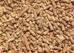 Thumbnail for Agthia to acquire majority stake in Egyptian snacks company Abu Auf Holding