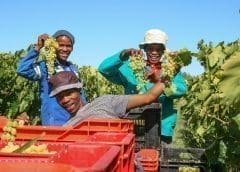 Thumbnail for Tanzania Breweries benefits from high sales volumes, registers 6% rise in revenue