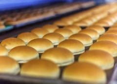 Thumbnail for FAO, AUC stipulate guidelines for scaling up investment for youth in Africa’s agri-food systems