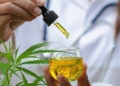 Thumbnail for AB InBev expands seltzer capacity with US$50m investment in St. Louis brewery 