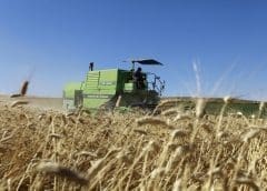 Thumbnail for UK delays HFSS regulations amid rising cost-of-living