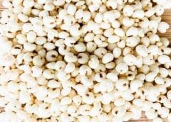 Thumbnail for Bonduelle Group adds new investors to North American business unit to secure future growth