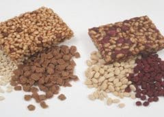 Thumbnail for ICARDA furthers aim to fortify global crops with a new genebank in Morocco