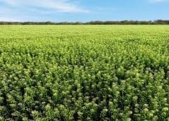 Thumbnail for KFC Morocco excites customers with new offerings, partners with Mexican baker Bimbo