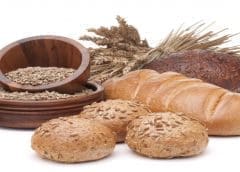 Thumbnail for Hill’s Pet Nutrition acquires Nutriamo to meet demand for wet pet food formulations in Europe