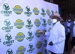 Thumbnail for Sucro Can Canada announce intentions to expand sugar refining capacity